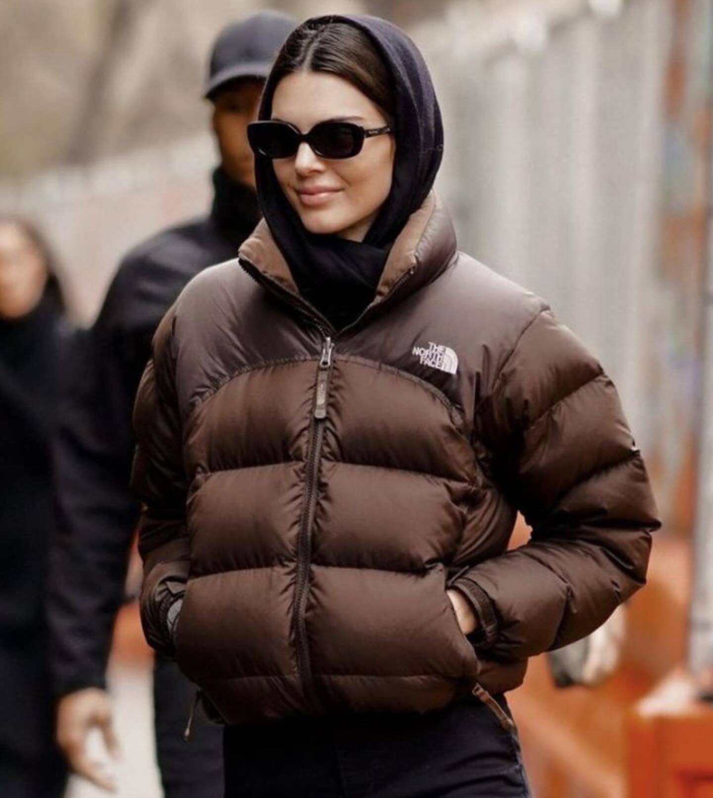 Kendall Jenner Brown North Face Puffer Jacket