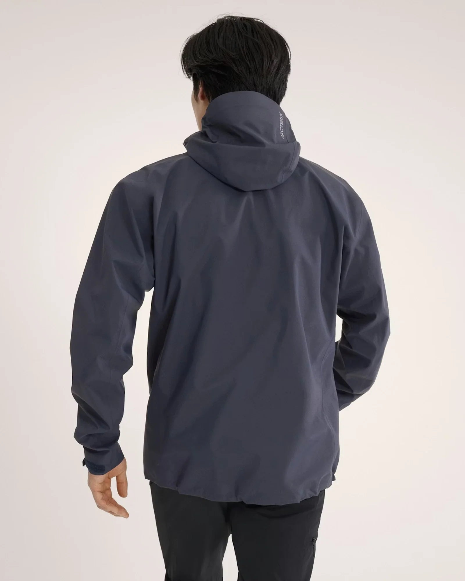 Arcteryx-Beta-Lt-Jacket-back-View