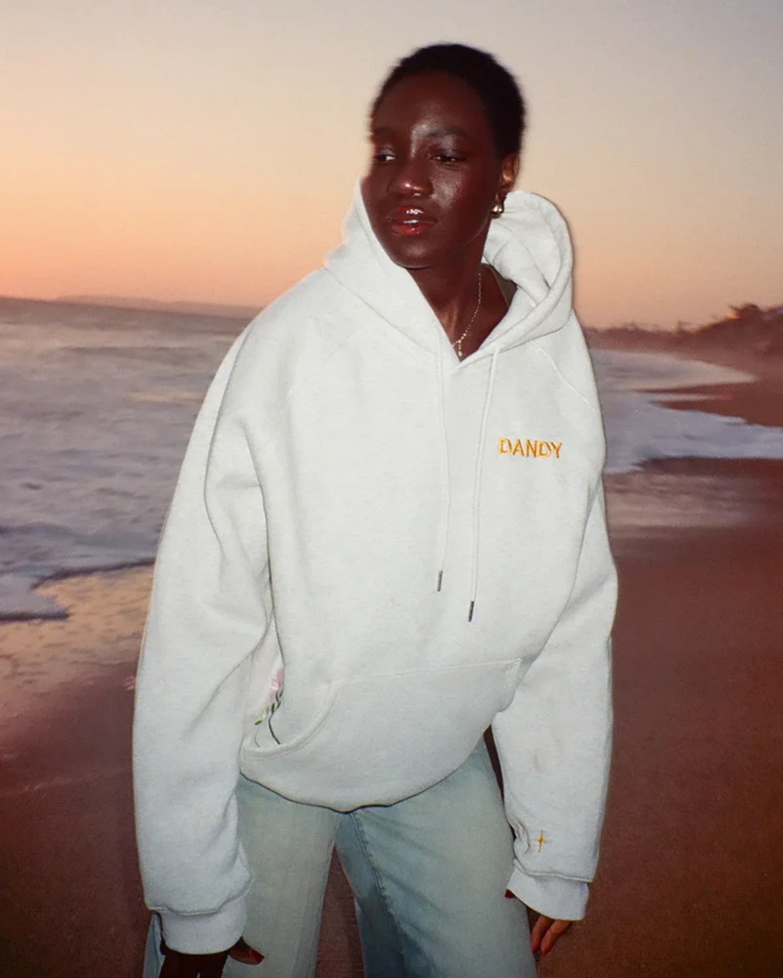 Dandy-Worldwide-Gift-Giving-Hoodie-Grey